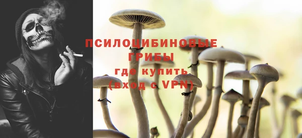 гашик Кодинск