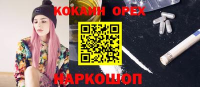 шишки Гусиноозёрск