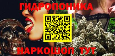 шишки Гусиноозёрск