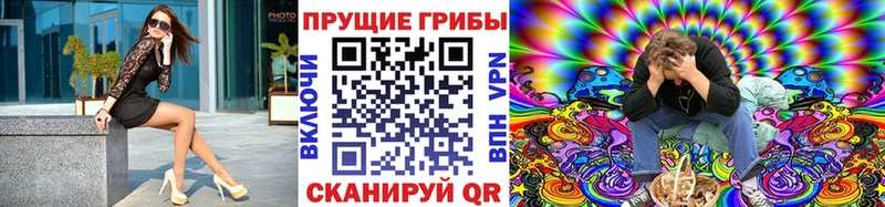 blacksprut   Гай  Псилоцибиновые грибы Cubensis  как найти наркотики 