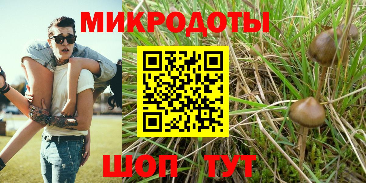Галлюциногенные грибы Psilocybine cubensis  Вход с VPN  Гай 