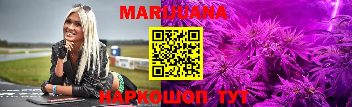 Шишки марихуана планчик Гай